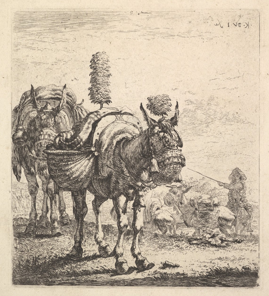 Kaksi muulia, joissa on laukut ja jotka on varustettu silmälaseilla, täplillä ja tupsuilla, yksi mu..., n. 1641-78. tekijältä Karel Du Jardin