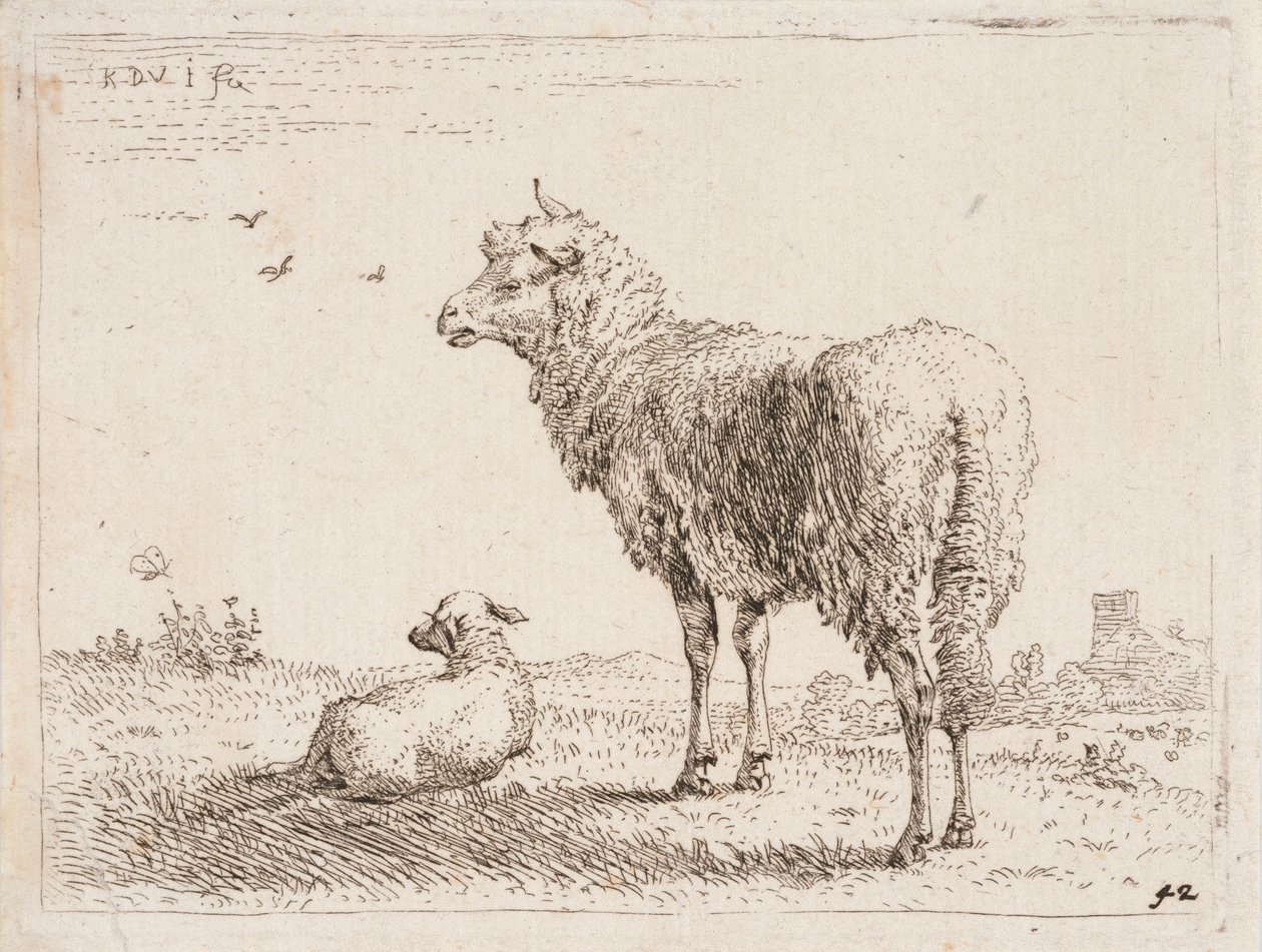 Lammas ja karitsa tekijältä Karel Dujardin