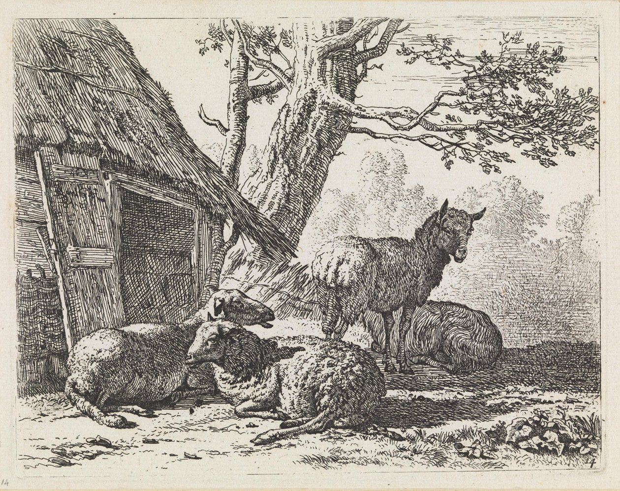 Neljä lammasta tekijältä Karel Dujardin
