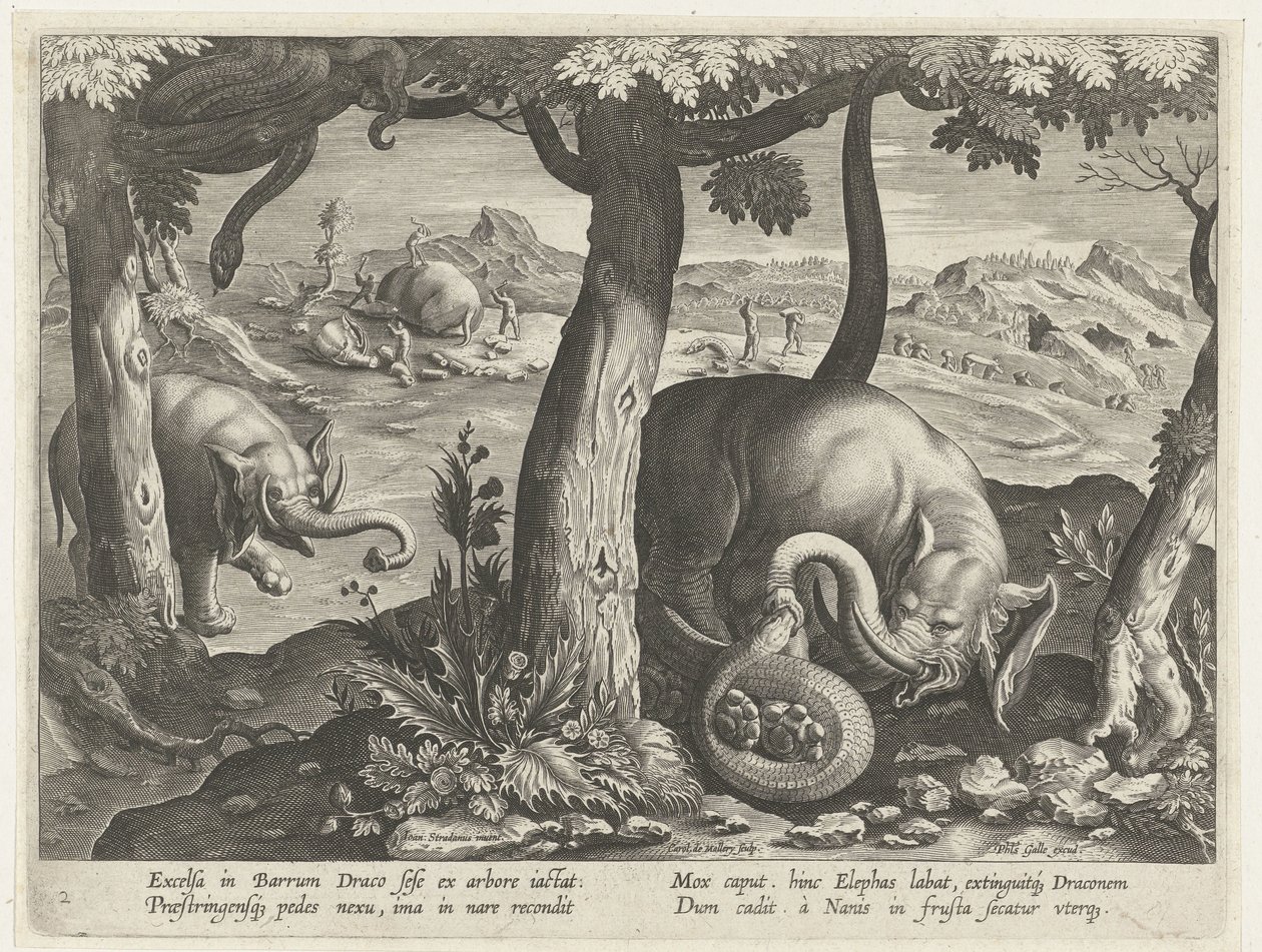 Olifant tapasi slangin taisteluissa Jachttaferelen (sarjan nimi) Villiriistan, lintujen ja kalojen metsästys Bestiaryssa (sarjan nimi) tekijältä Karel van Mallery (attributed to)