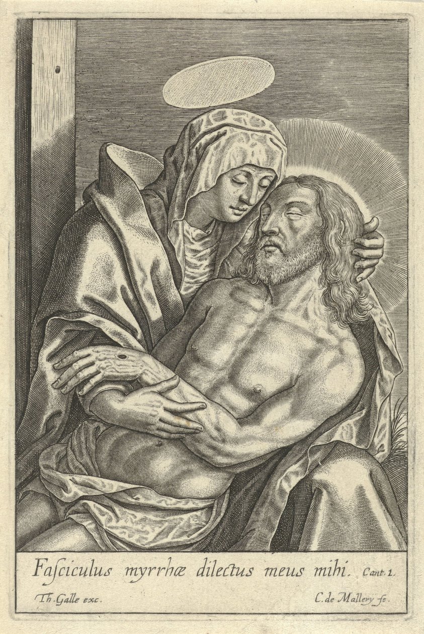 Pieta tekijältä Karel van Mallery