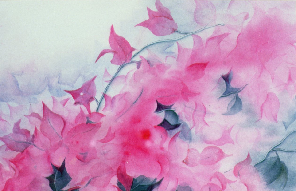 Bougainvillia tekijältä Karen Armitage