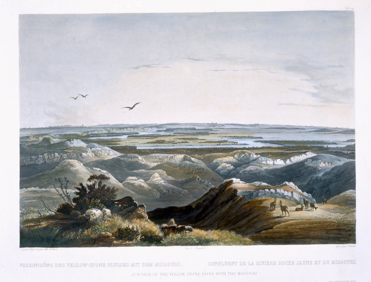 Keltaisen kivijoen risteys Missourin kanssa, levy 29 kirjan "Travels in the Interior of North America" 2. osasta, kaiverrus Friedrich Salathe (1793-1858) 1844 (akvatinta) tekijältä Karl Bodmer
