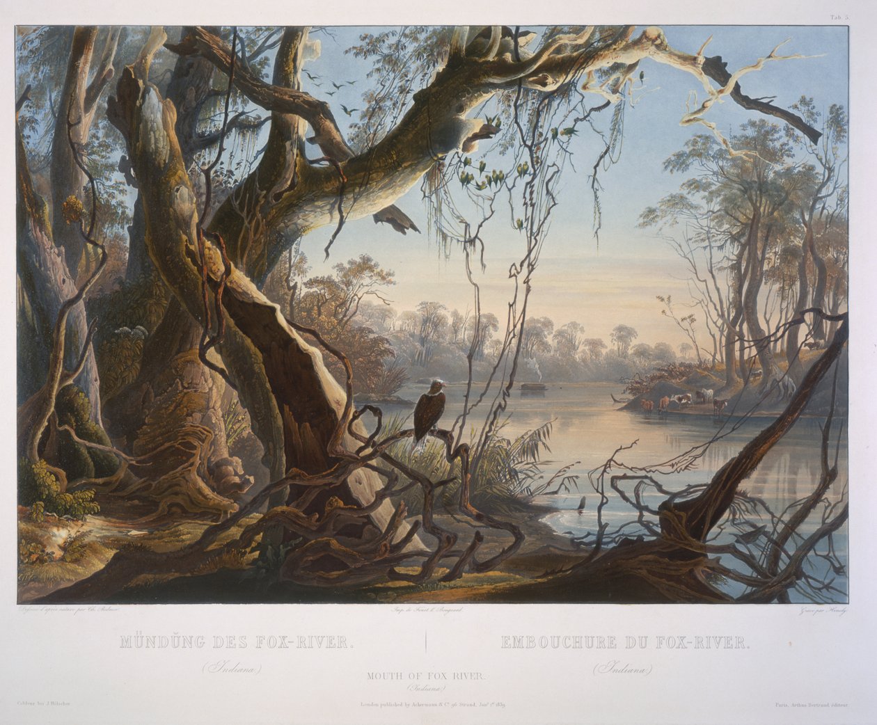 Mouth of Fox River (Indiana) tekijältä Karl Bodmer