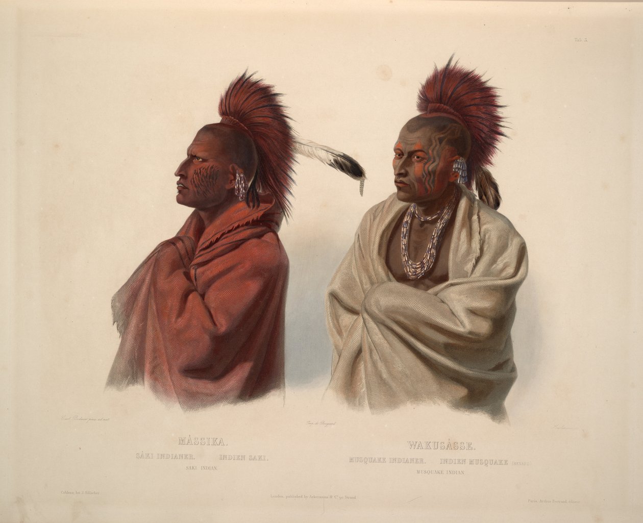 Saki intialainen ja intialainen Musquake tekijältä Karl Bodmer