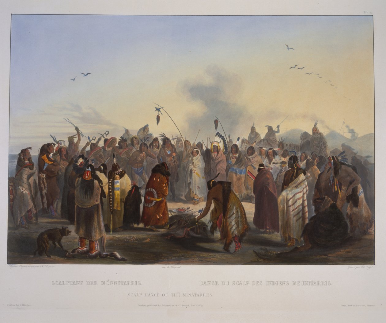 Minatarreiden päänahkatanssi tekijältä Karl Bodmer