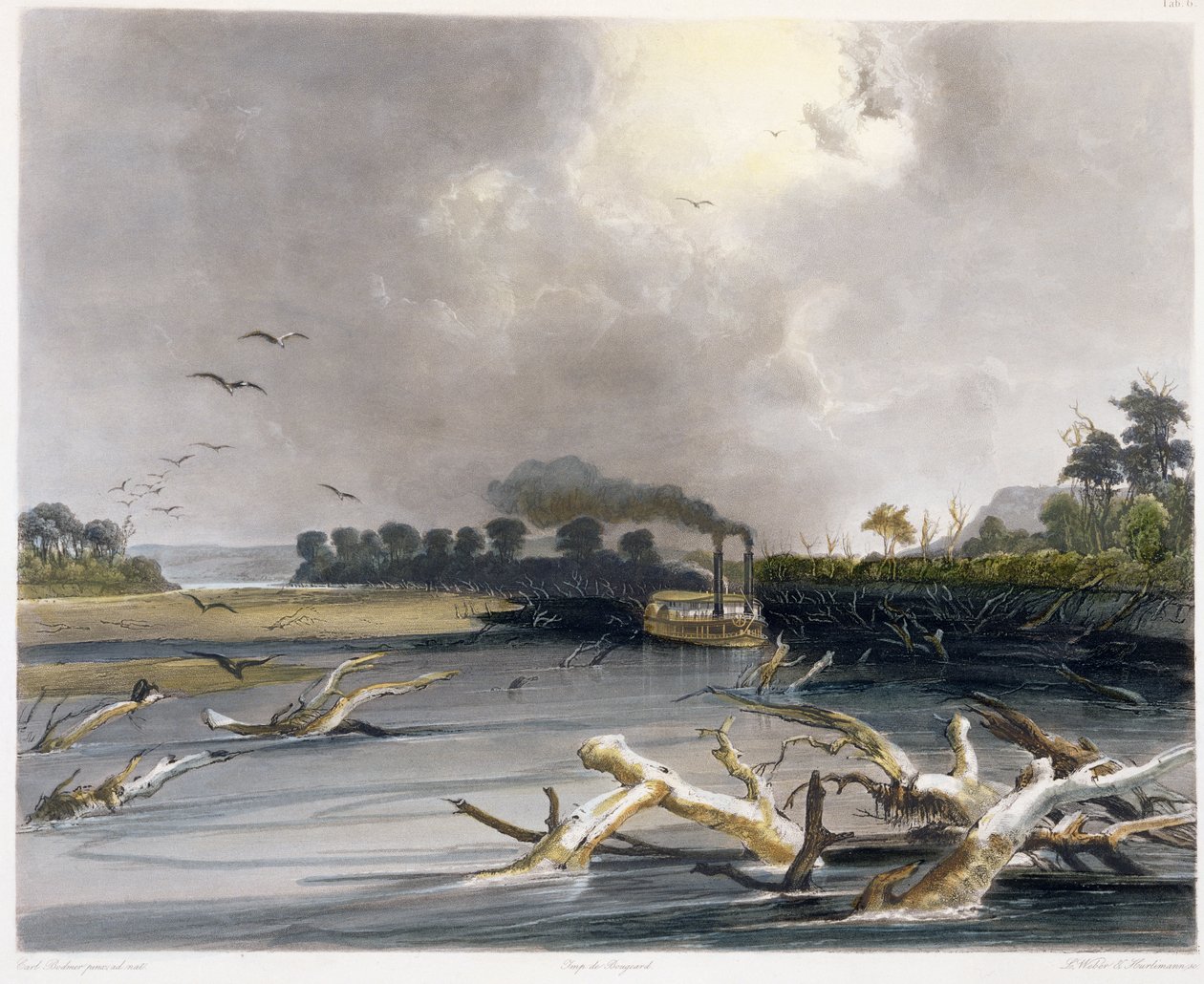 Snags (sukanneet puut) Missourissa, levy 6 kirjan "Travels in the Interior of North America" 2. osasta, kaiverrus Lucas Weber ja J. Hurlimann, 1844 (akvatinta) tekijältä Karl Bodmer