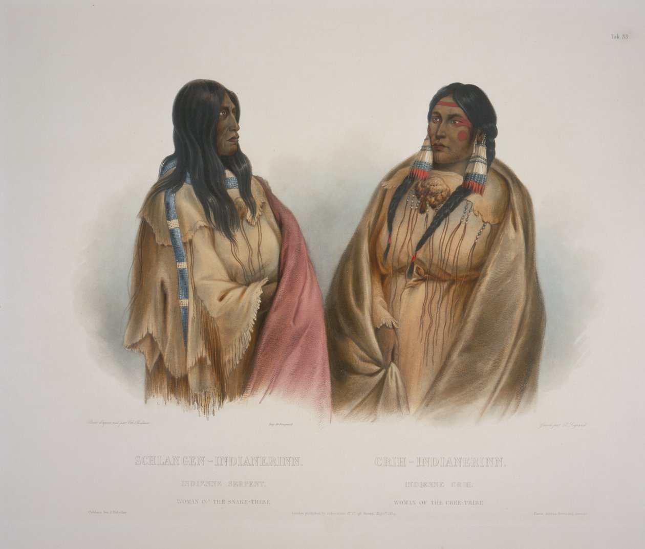 Nainen Käärme-heimosta, Nainen Cree-heimosta tekijältä Karl Bodmer