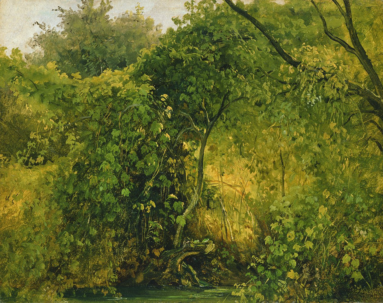 Pensaat Pillnitzissä, n. 1818-28 (öljy paperille) tekijältä Karl Gustav Carus