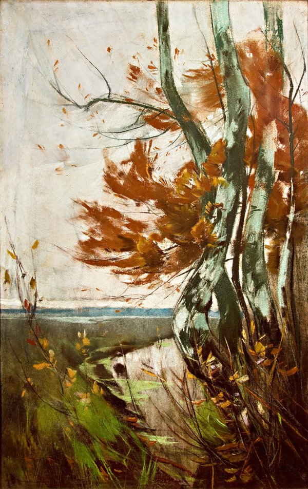 Windfluchter an der Ostsee tekijältä Karl Hagemeister