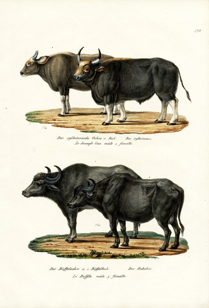 Tänään, 1824 tekijältä Karl Joseph Brodtmann
