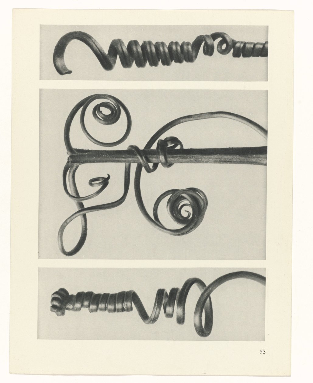 suunnittele tutkimusta Taiteen arkkityypit (sarjan nimi) tekijältä Karl Blossfeldt