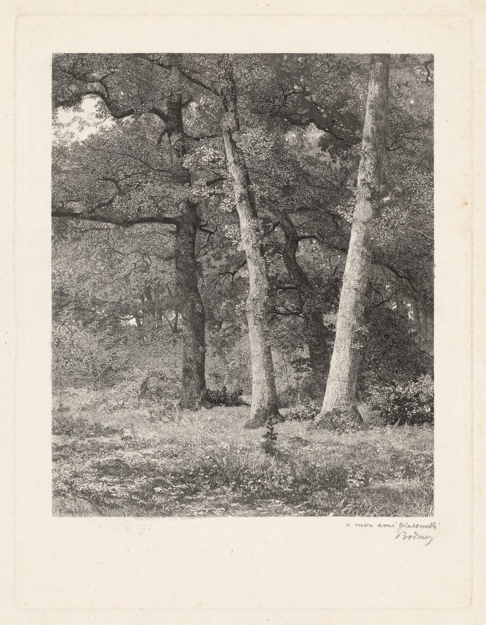 Metsän raivaus tekijältä Karl Bodmer