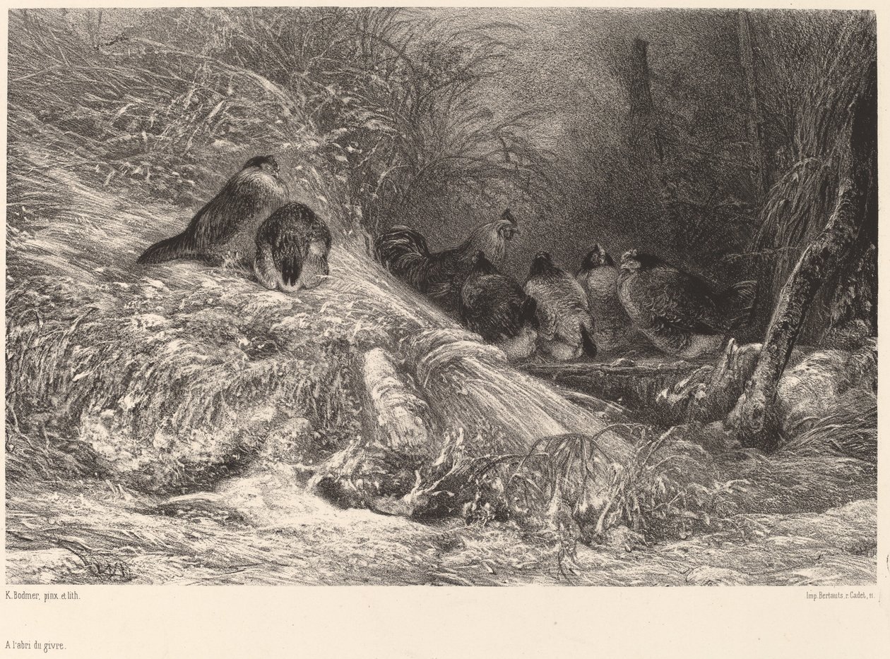 Suojaa pakkaselta tekijältä Karl Bodmer