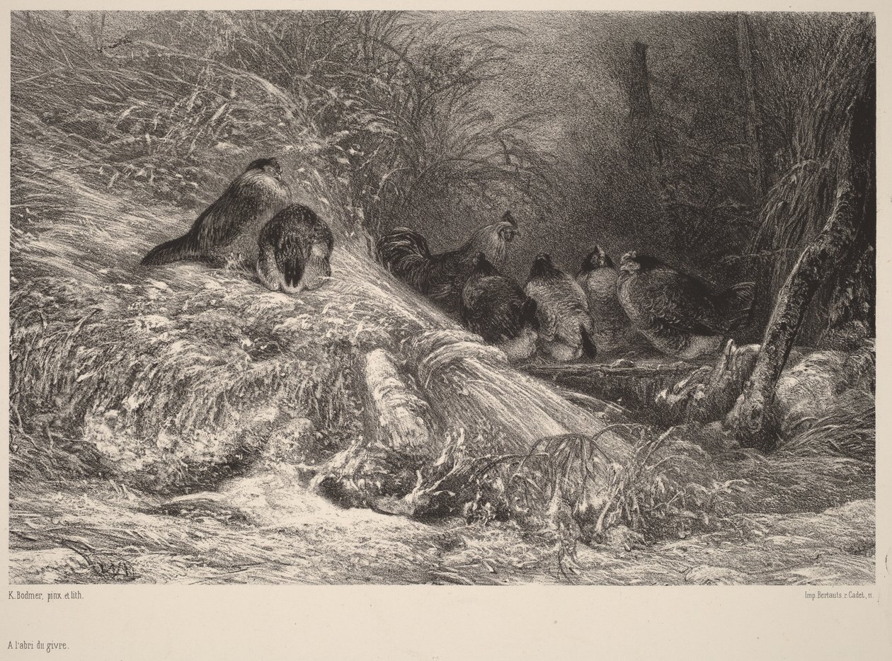 Pakkaselta suojassa tekijältä Karl Bodmer