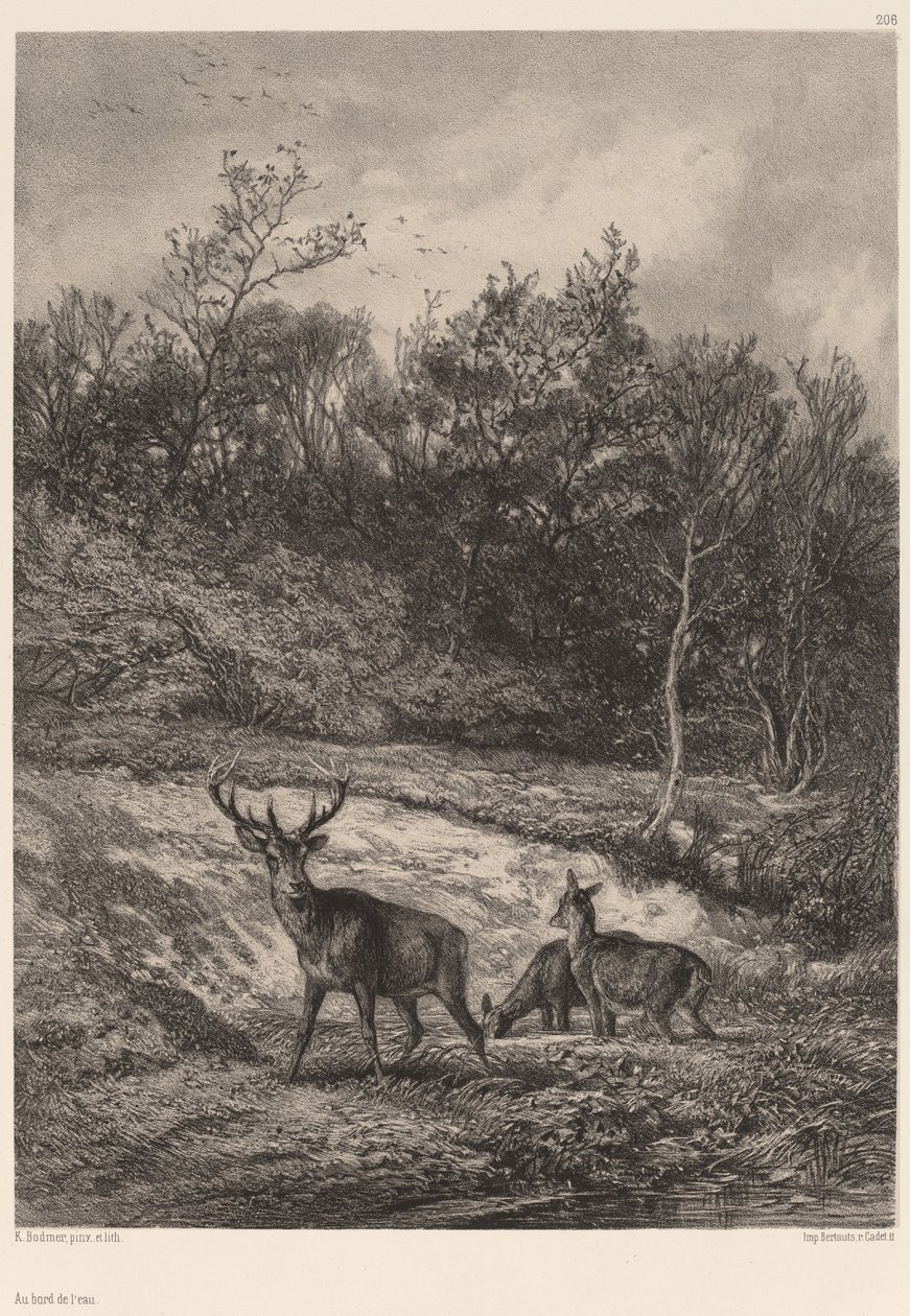 Veden äärellä tekijältä Karl Bodmer