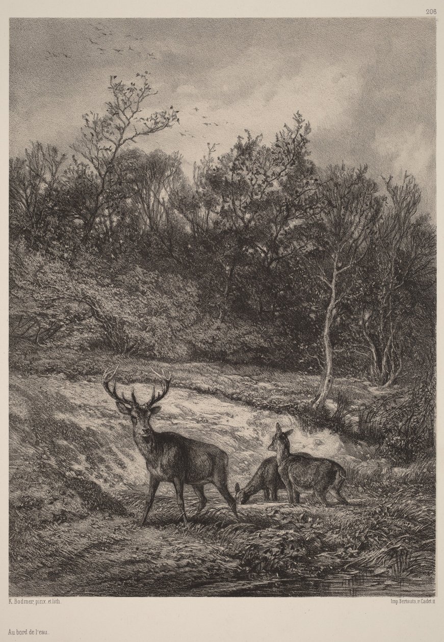 Veden äärellä tekijältä Karl Bodmer