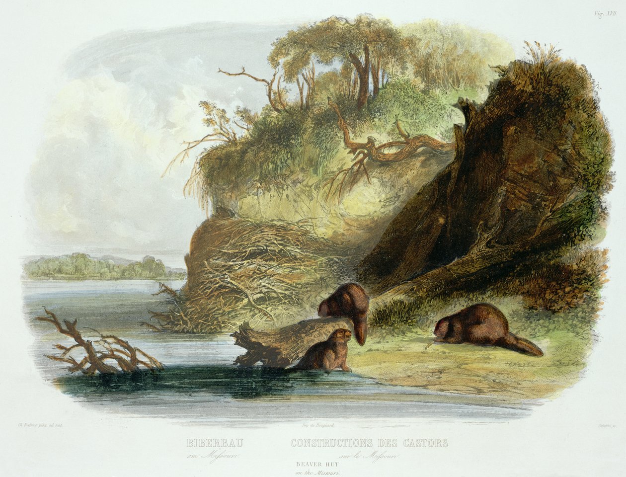 Majavamaja Missourissa, levy 17 kirjan "Travels in the Interior of North America" osasta 1, kaiverrus Friedrich Salathe (1793-1858) 1843 (akvatinta) tekijältä Karl Bodmer