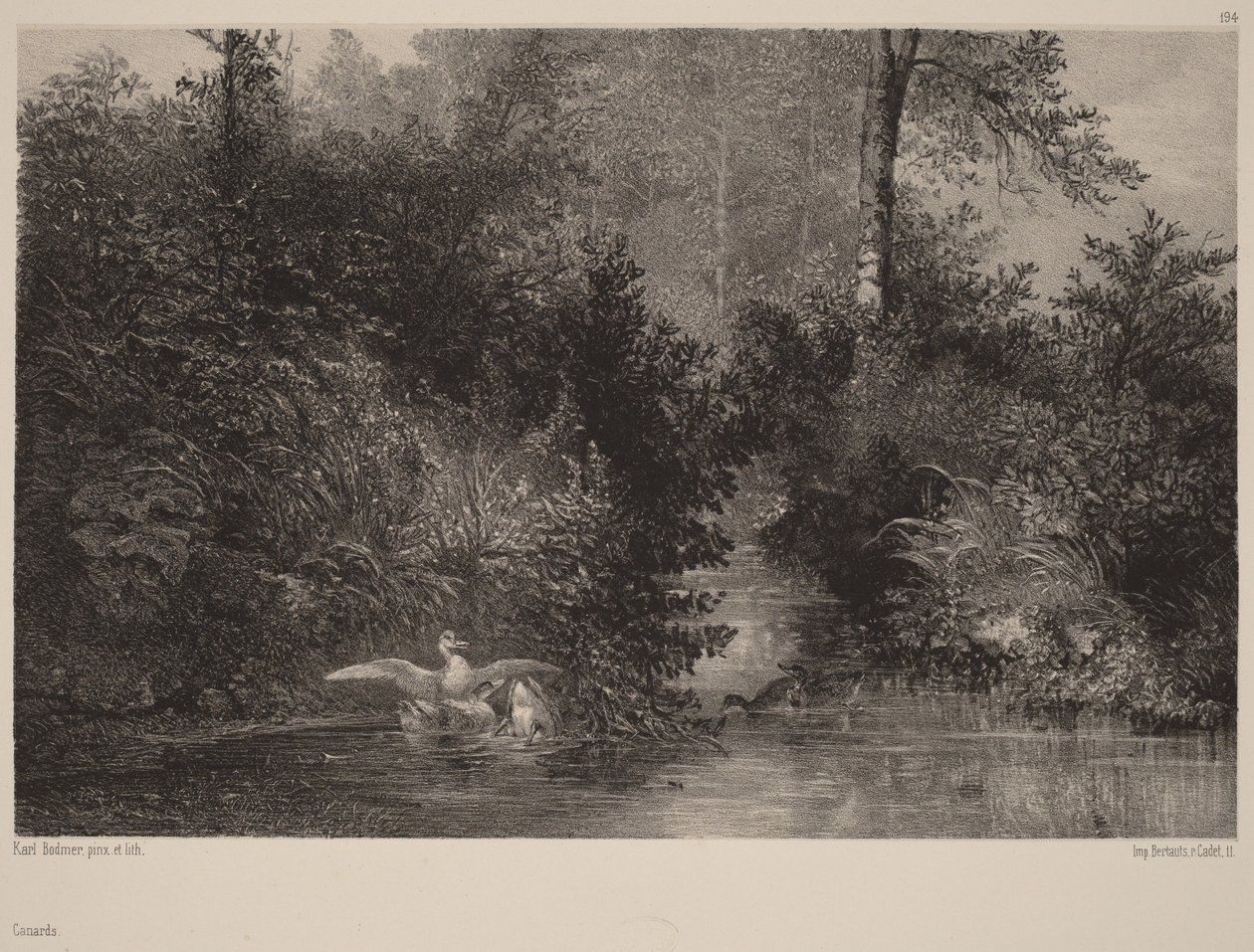 Ankat tekijältä Karl Bodmer