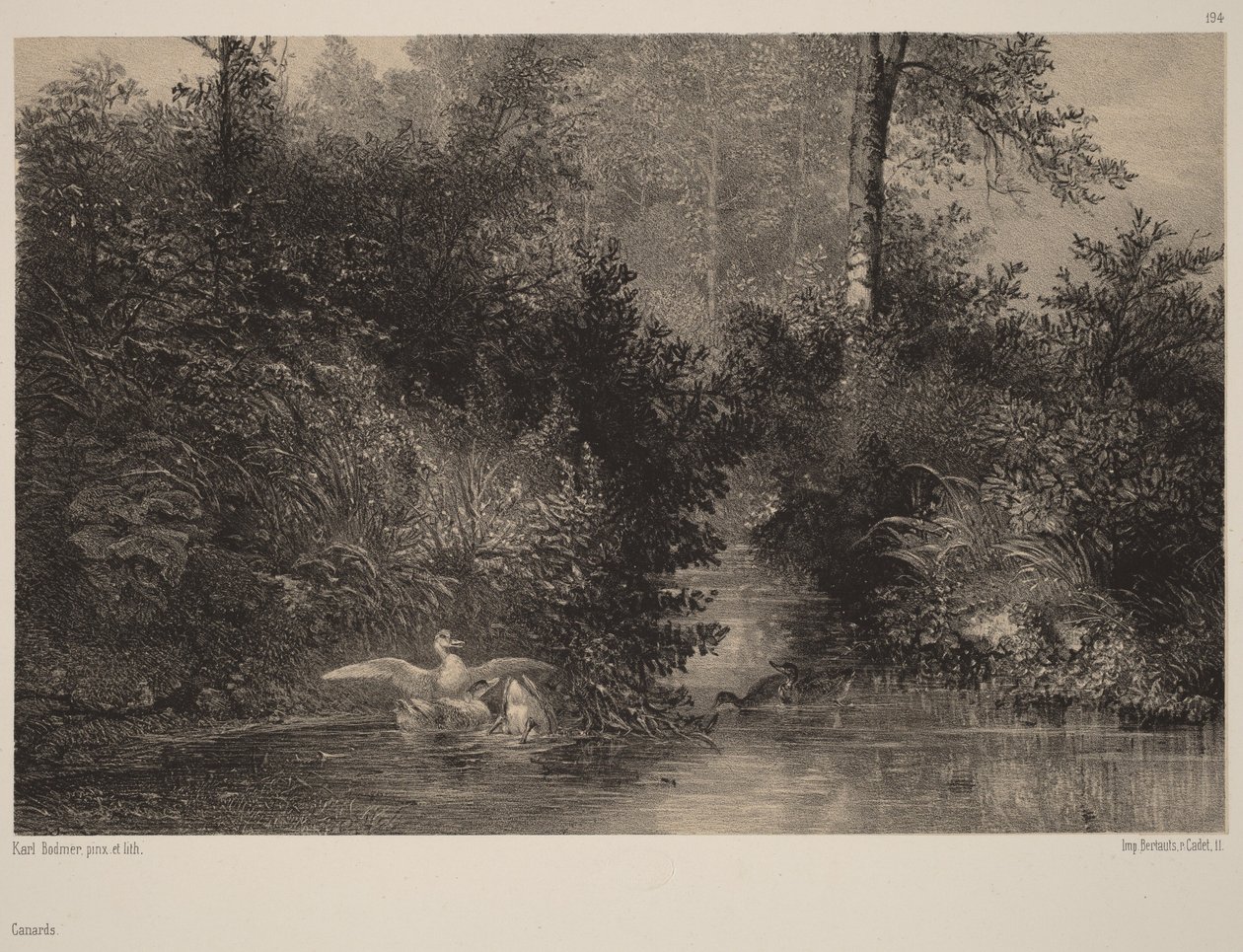 Ankat tekijältä Karl Bodmer