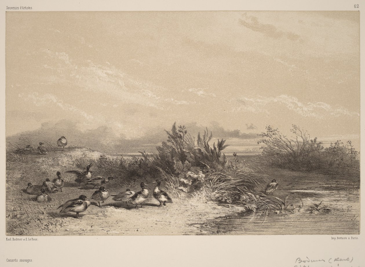 Villiankat tekijältä Karl Bodmer
