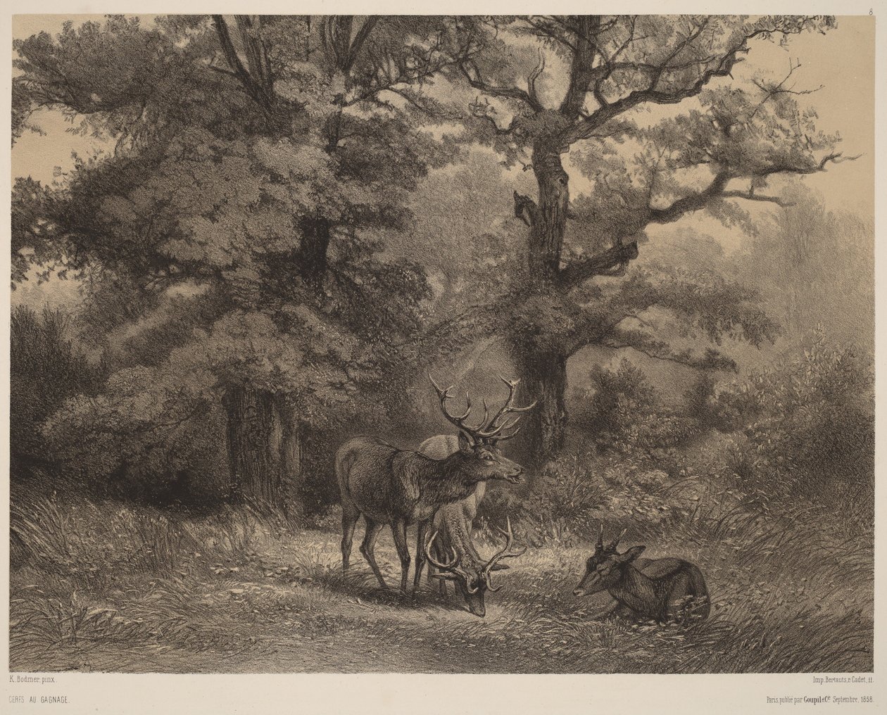 Hirviä ruokailupaikalla tekijältä Karl Bodmer