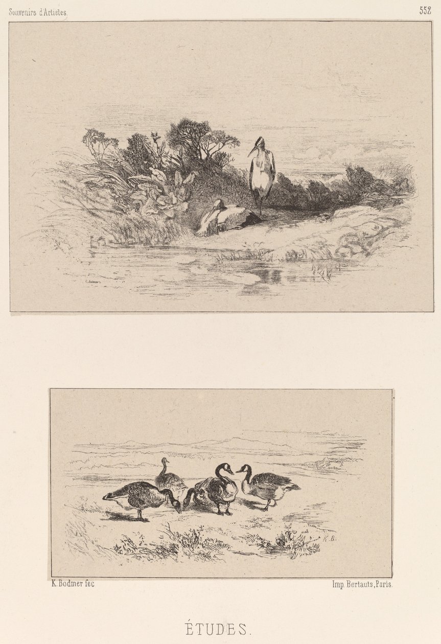 Opinnot. tekijältä Karl Bodmer