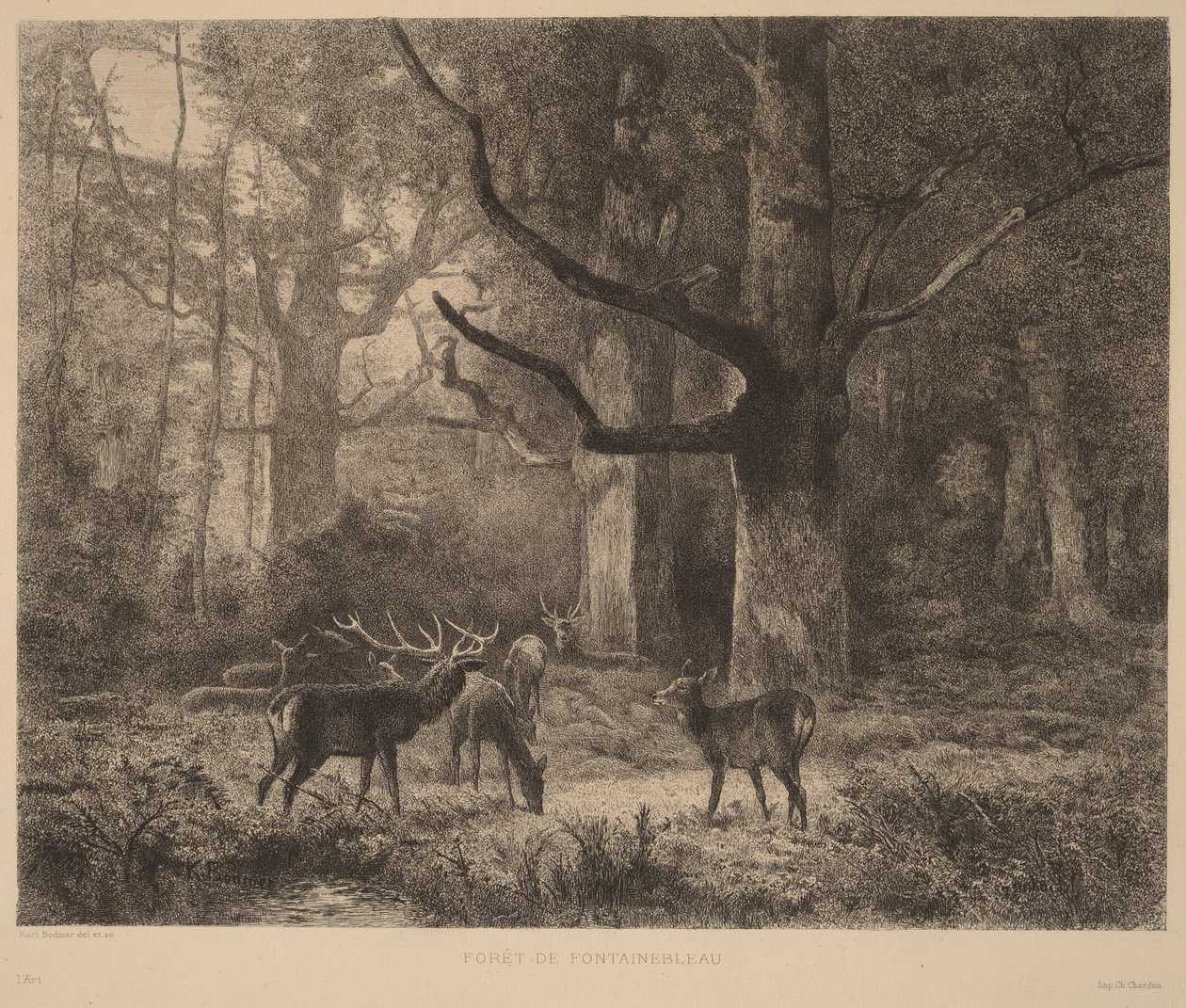 Fontainebleaun metsä tekijältä Karl Bodmer