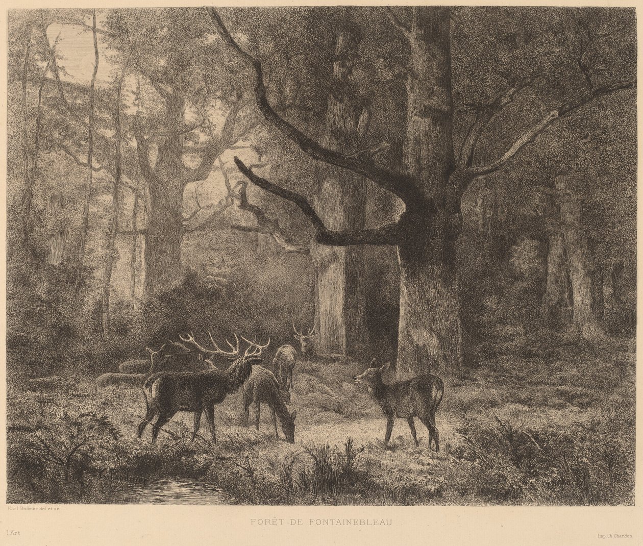 Fontainebleaun metsä tekijältä Karl Bodmer
