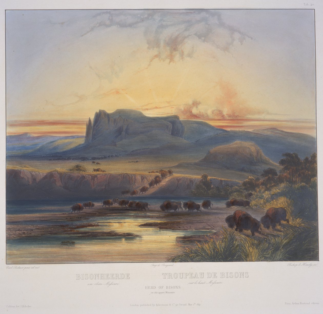 Biisonilauma Ylä-Missourissa tekijältä Karl Bodmer
