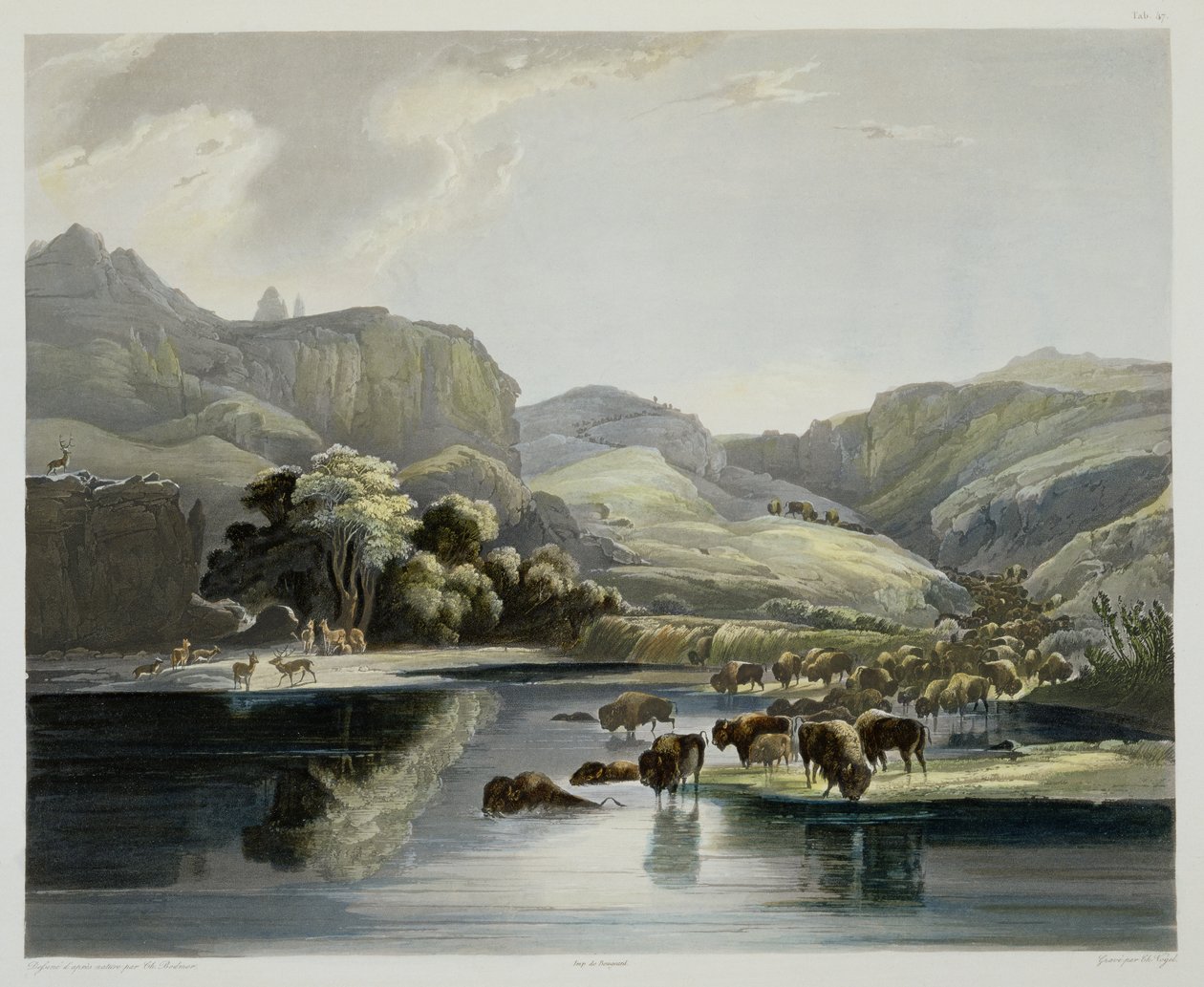 Biisoni- ja hirvilaumat Missourin yläjuoksulla, levy 47 teoksen "Travels in the Interior of North America" (Matkat Pohjois-Amerikan sisämaassa) niteestä 2, kaiverrettu Carl Vogel (1816-51) 1844 (akvatintta). tekijältä Karl Bodmer