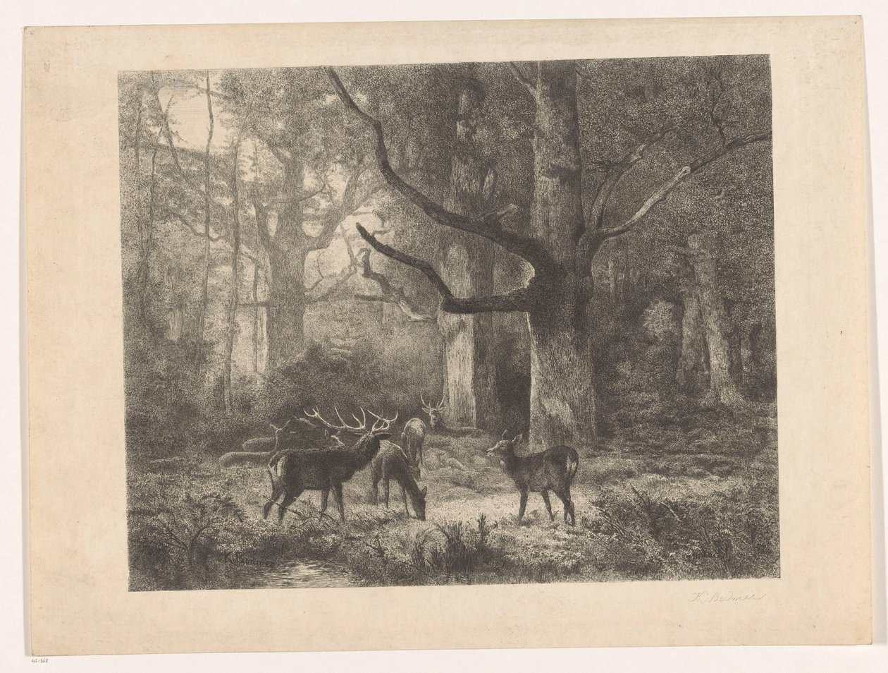 Hirvi metsässä tekijältä Karl Bodmer