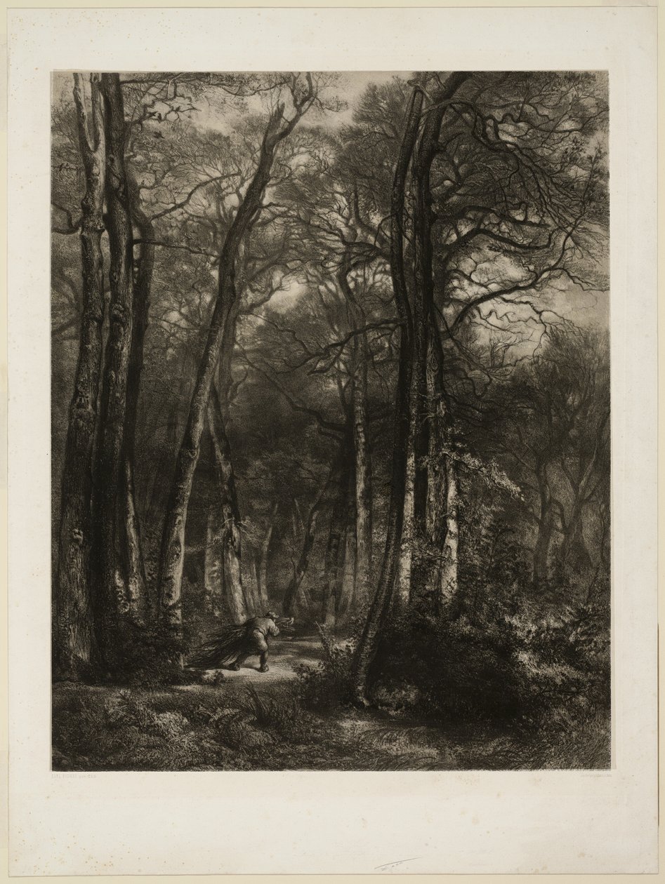 Metsässä tekijältä Karl Bodmer