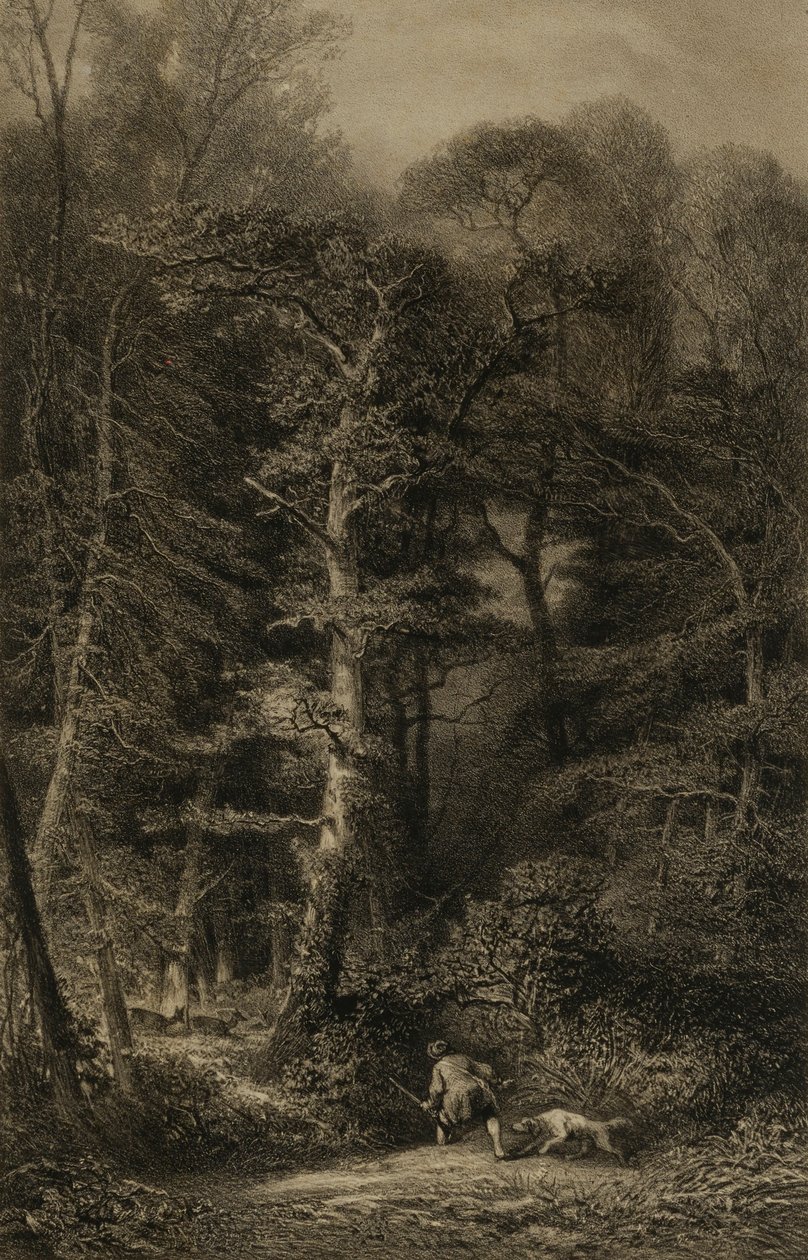 Metsän sisätilat tekijältä Karl Bodmer