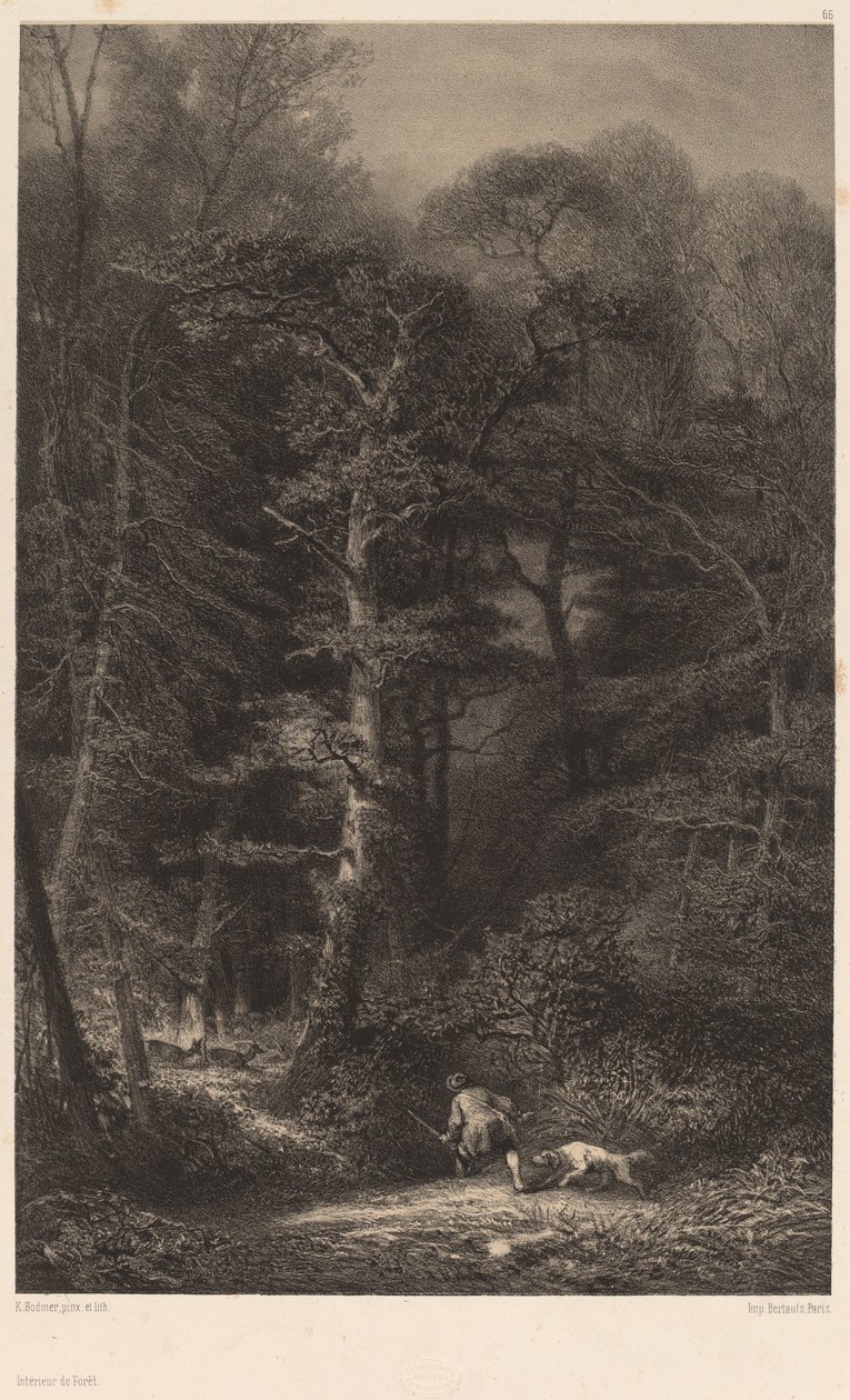 Metsän sisätilat tekijältä Karl Bodmer
