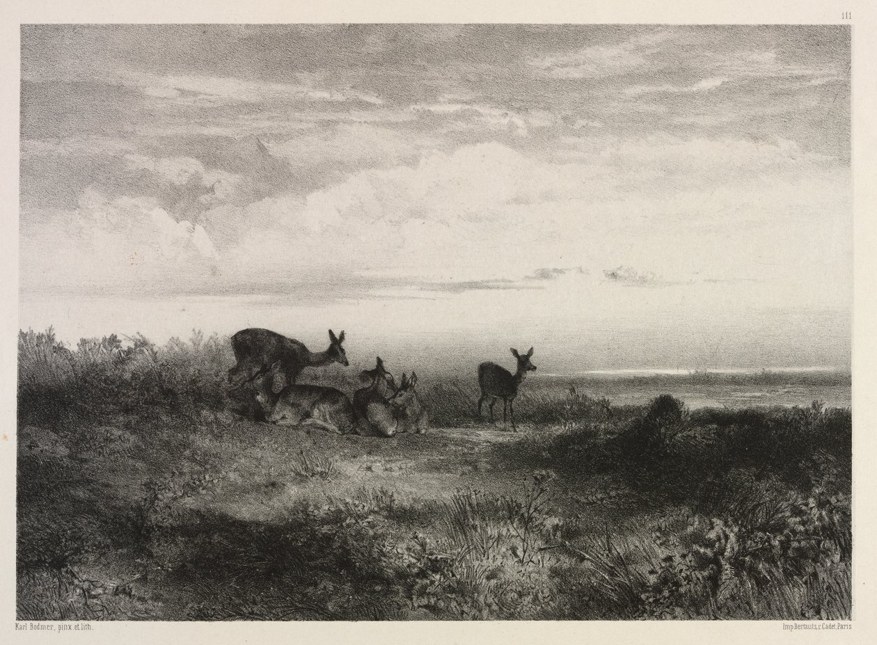 Maisema peuran kanssa tekijältä Karl Bodmer