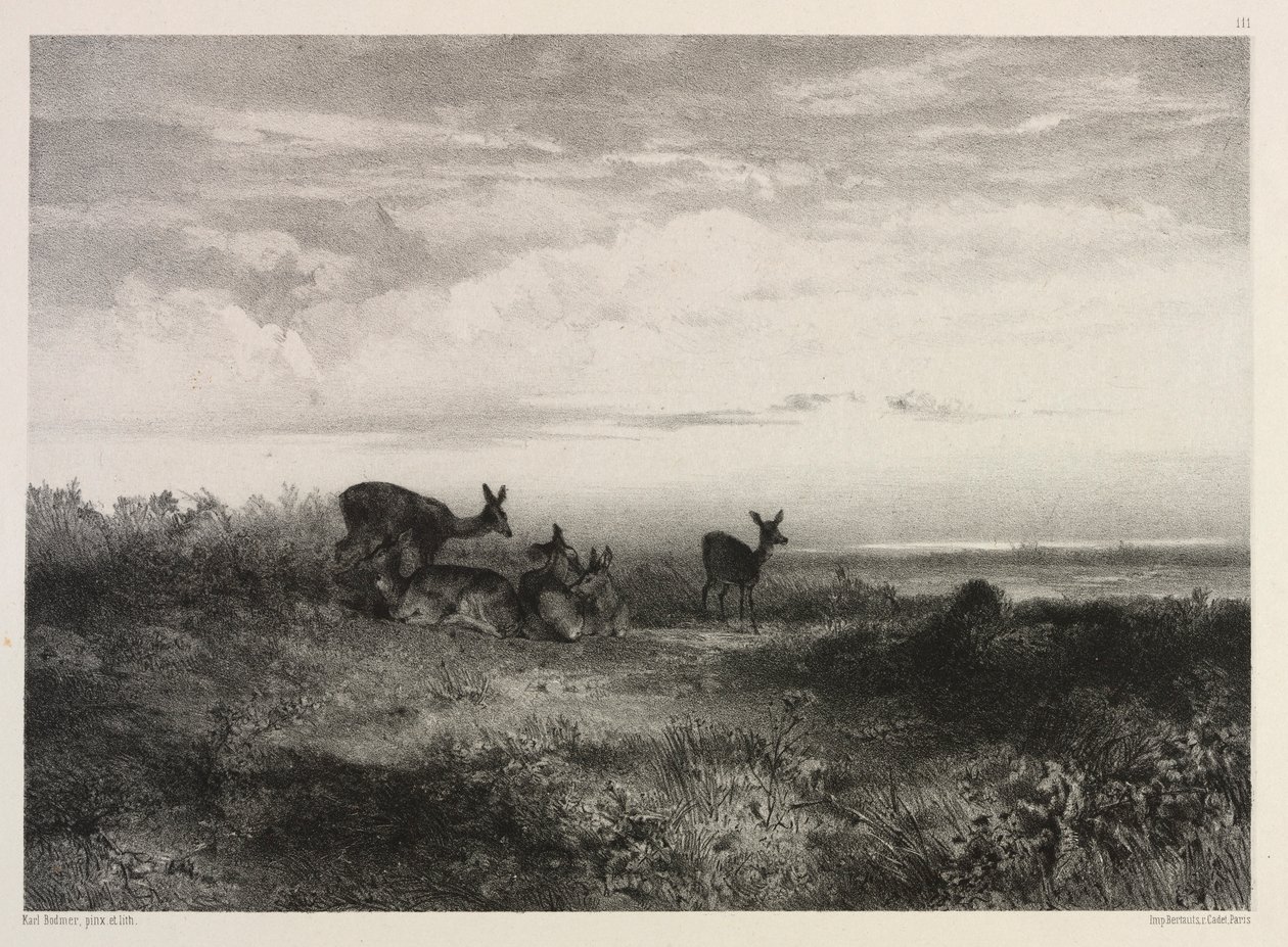 Maisema peuran kanssa, c. 1840. tekijältä Karl Bodmer