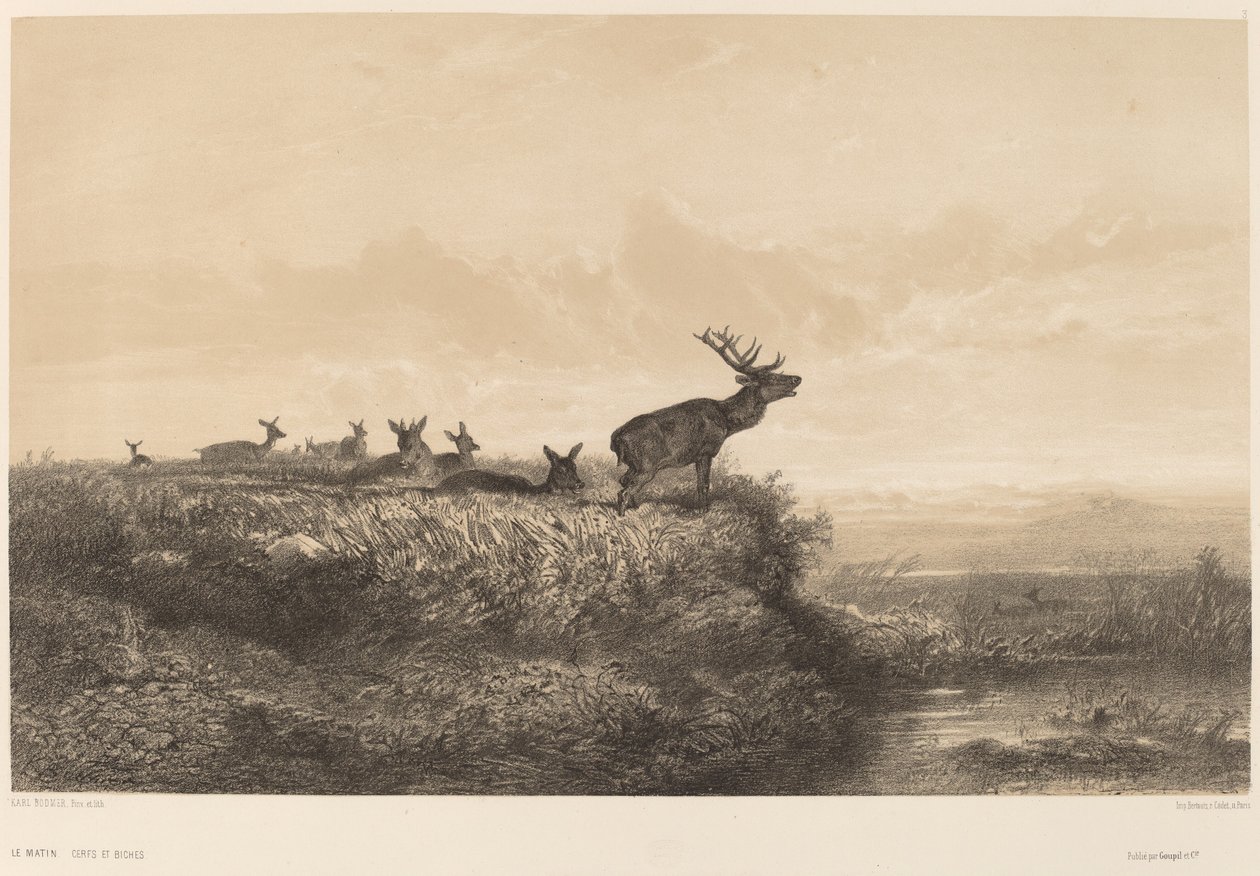 Aamu tekijältä Karl Bodmer