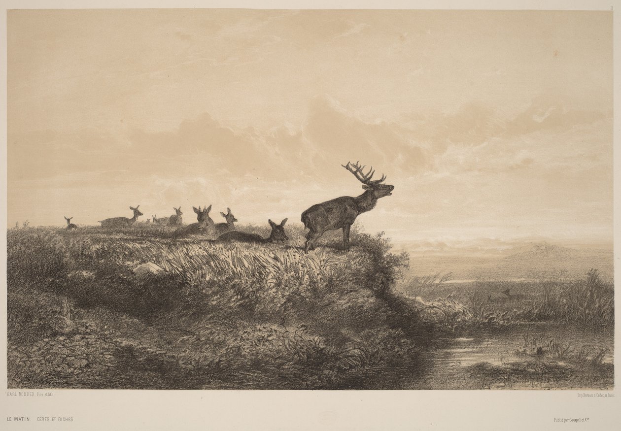 Aamu tekijältä Karl Bodmer