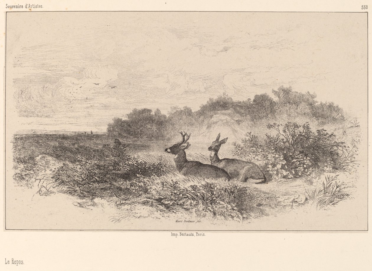 Levätä tekijältä Karl Bodmer