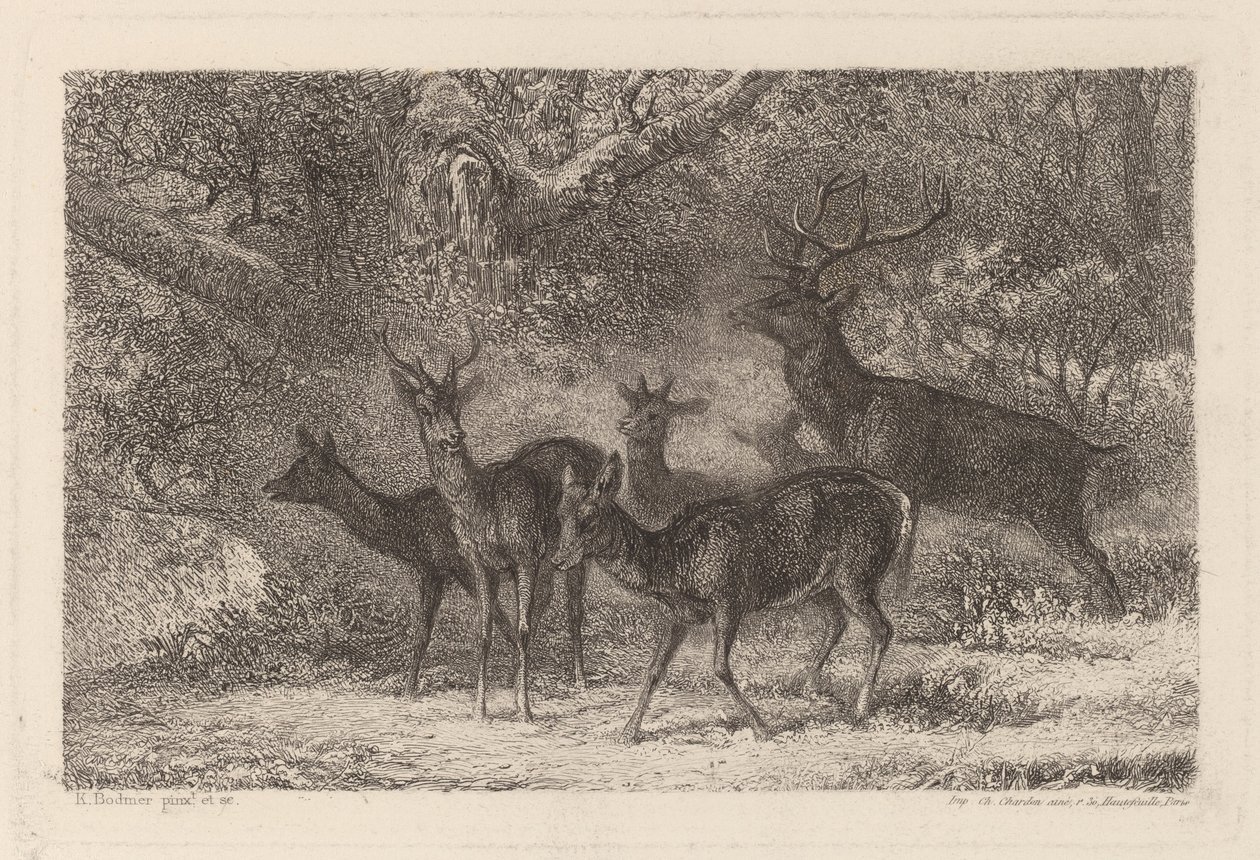 lauma tekijältä Karl Bodmer