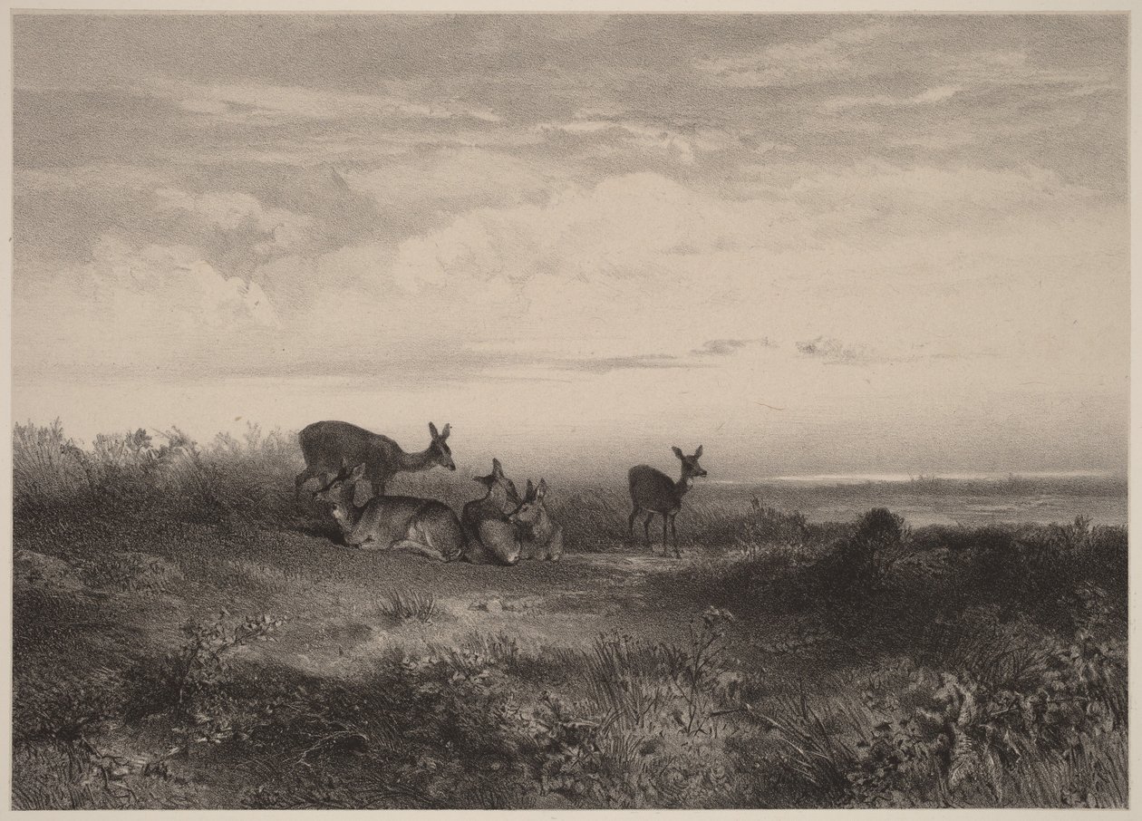 Naaraat tekijältä Karl Bodmer