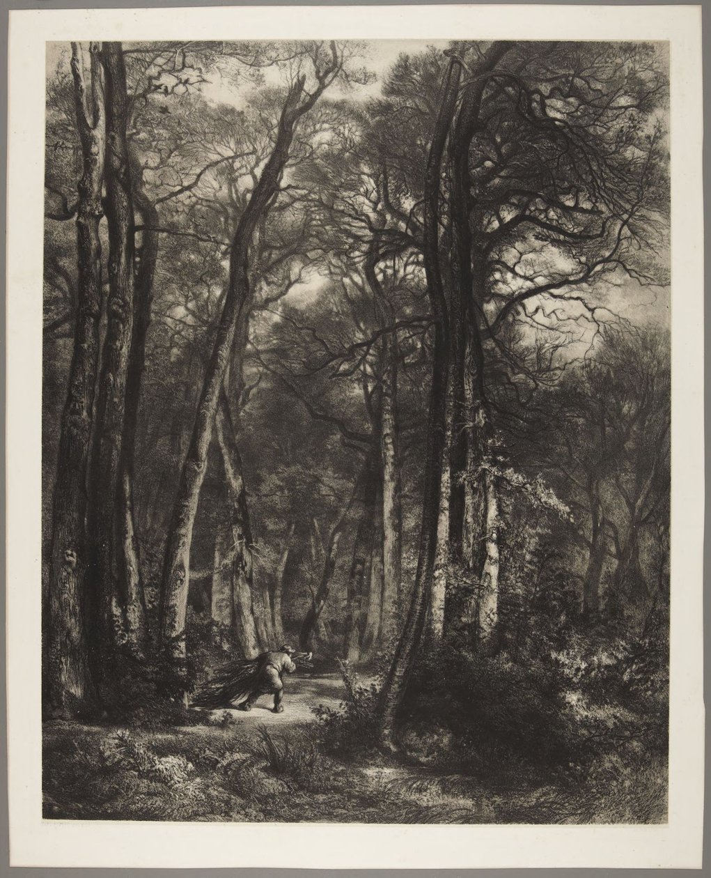 Mies metsässä tekijältä Karl Bodmer