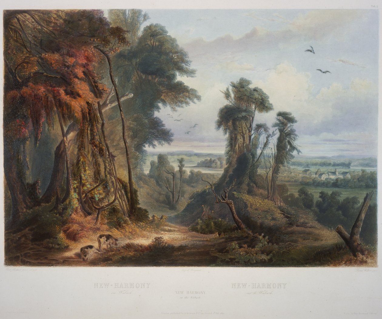 Uusi Harmony Wabashissa tekijältä Karl Bodmer
