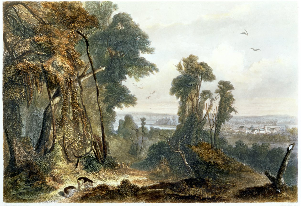 New Harmony on the Wabash, levy 2 kirjan "Travels in the Interior of North America" 2. osasta, kaiverrus Lucas Weber, 1844 (akvatinta) tekijältä Karl Bodmer