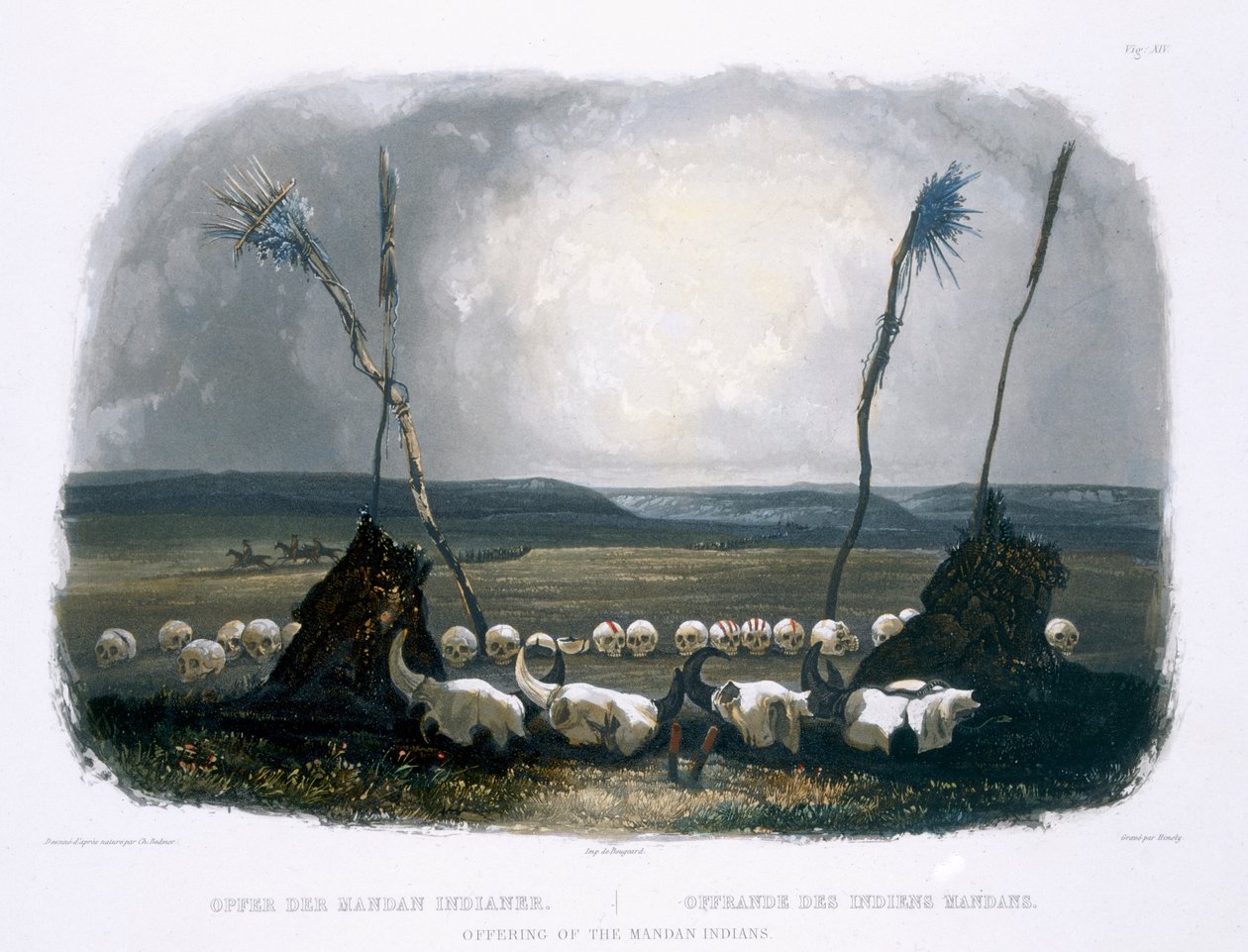 Mandan-intiaanien tarjous, levy 14 kirjan "Travels in the Interior of North America" 1. osasta, kaiverrus Sigismond Himely (1801-72) 1843 (akvatinta) tekijältä Karl Bodmer