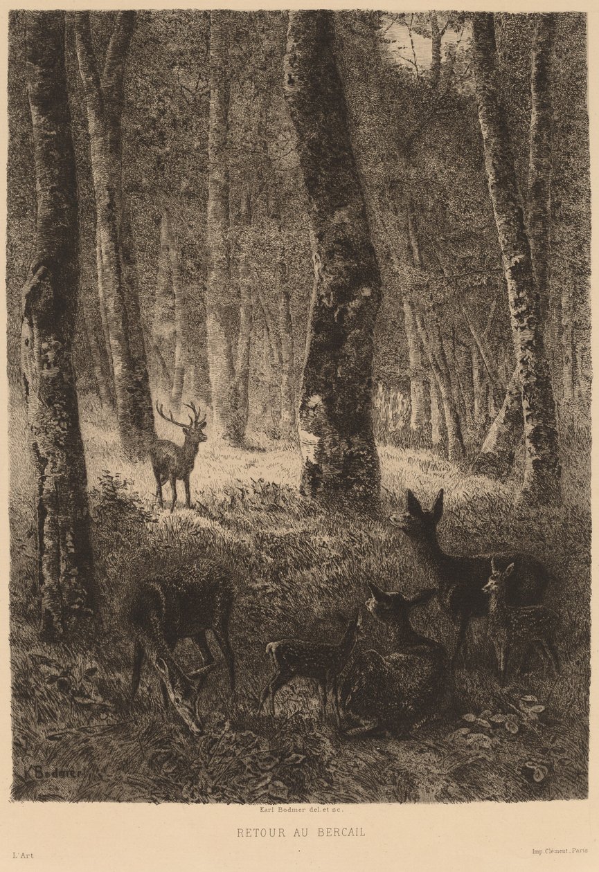 Takaisin kotiin. tekijältä Karl Bodmer