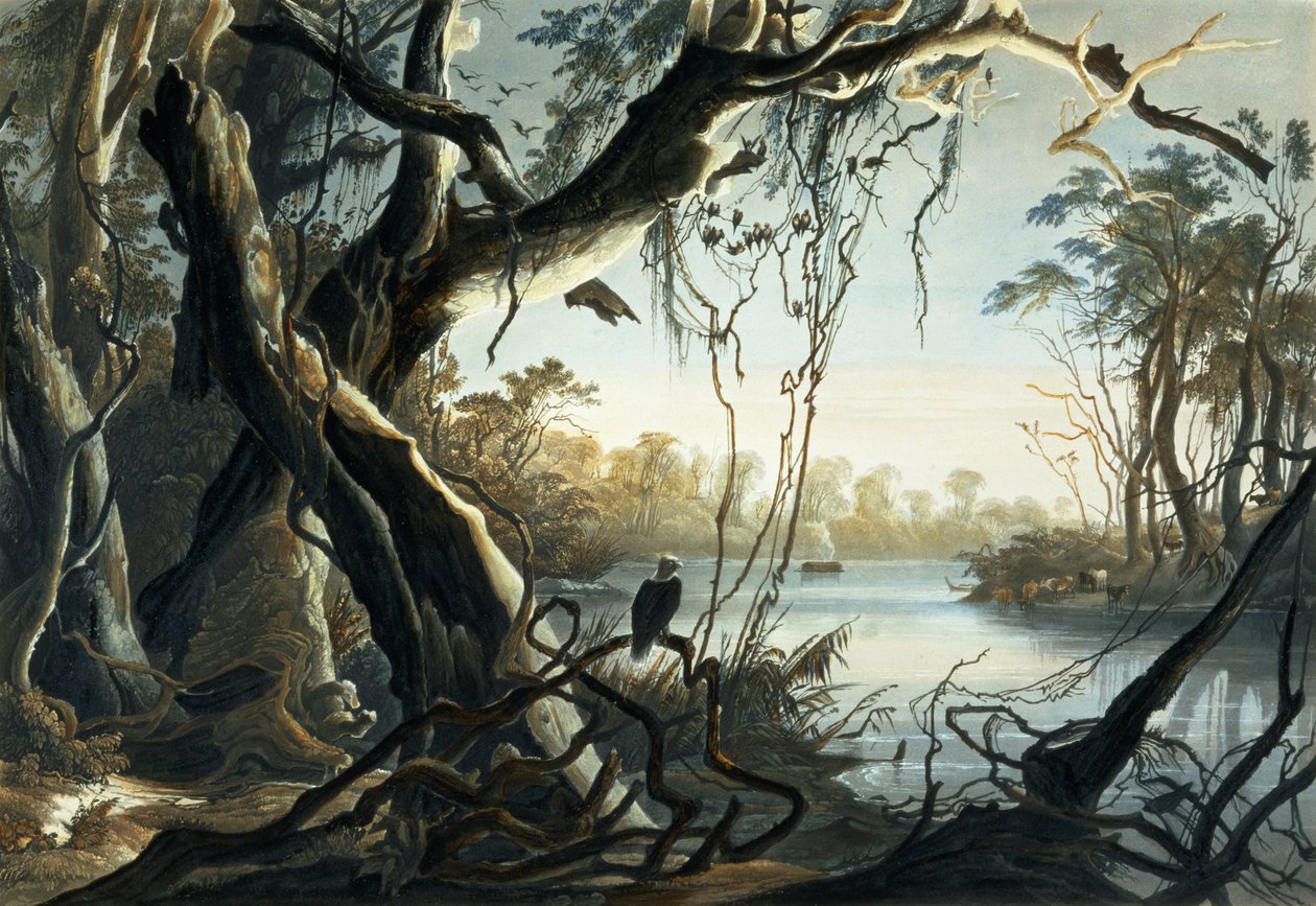 The Mouth of the Fox River, Indiana, levy 5 kirjan "Travels in the Interior of North America" osasta 2, kaiverrus Sigismond Himely (1801-72) 1844 (akvatinta) tekijältä Karl Bodmer