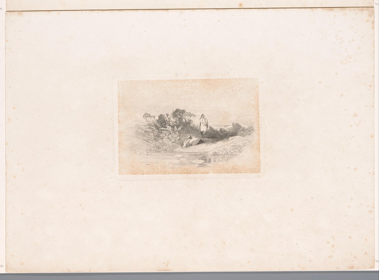 Kaksi haikaroita rannalla Maisemat eläinten kanssa (sarjan nimi) tekijältä Karl Bodmer