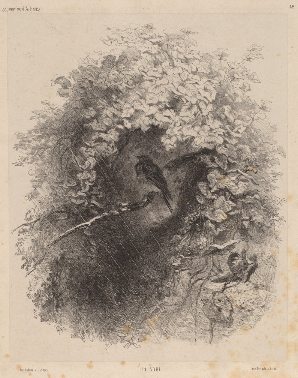 Suoja tekijältä Karl Bodmer